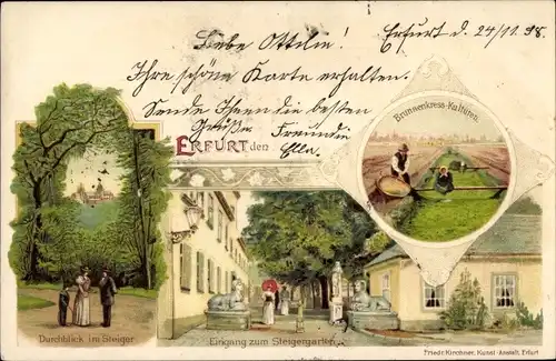 Litho Erfurt in Thüringen, Durchblick im Steiger, Brunnenkresskulturen, Eingang zum Steigergarten