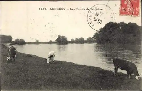 Ak Andrésy Yvelines, Ufer der Seine