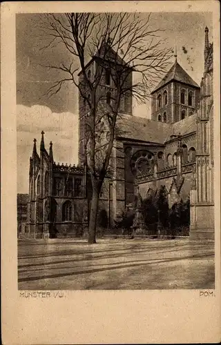 Ak Münster in Westfalen, Blick auf den Dom, Stadtansicht