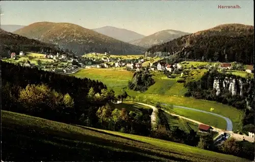 Ak Bad Herrenalb im Schwarzwald, Panorama