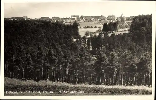 Ak Dobel im Schwarzwald, Panorama