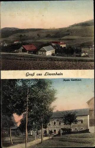 Ak Löwenhain Geising Altenberg Erzgebirge, Teilansicht, Jäpels Gasthof