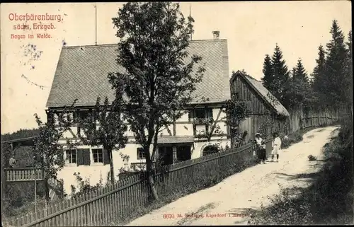 Ak Ober Bärenburg Altenberg im Erzgebirge, Hagen im Walde, Straße
