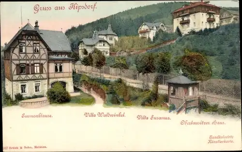 Ak Kipsdorf Altenberg Erzgebirge, Villa Waldwinkel, Villa Susanna, Oberlausitzer Haus, Emmenklause