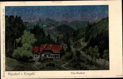 Luna Ak Kipsdorf Altenberg im Erzgebirge, Villa Waldhof