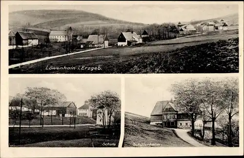 Ak Löwenhain Altenberg im Erzgebirge, Teilansicht, Schule, Schülerheim