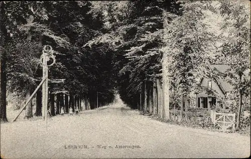 Ak Leersum Utrechtse Heuvelrug Utrecht, Weg Amerongen