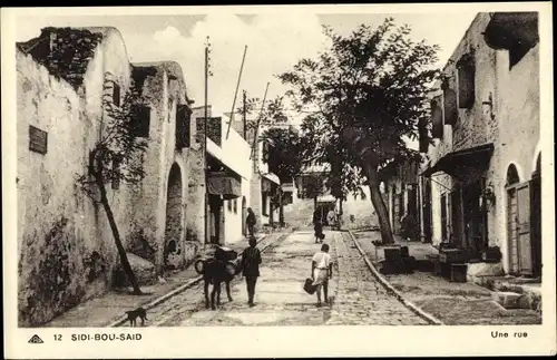 Ak Sidi Bou Said Tunesien, Une Rue, Straßenpartie, Esel, Häuser