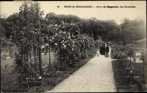 Ak Paris XVI., Bois de Boulogne, Parc de Bagatelle, Rosengarten
