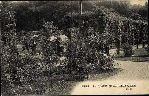 Ak Paris 16. Jahrhundert, Bois de Boulogne, Parc de Bagatelle, Rosengarten