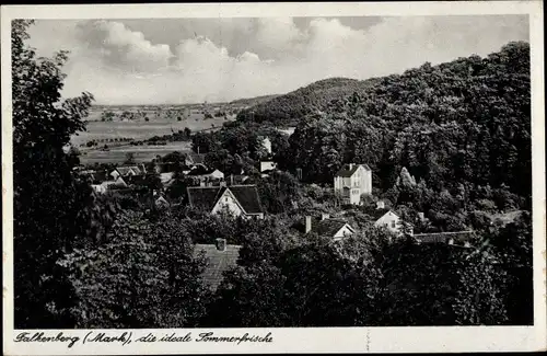 Ak Falkenberg in der Mark, Panorama