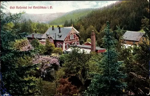 Ak Eichmühle Netzschkau im Vogtland,  Bad Rosental