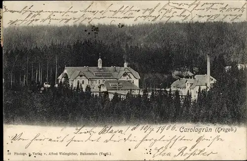 Ak Carolagrün Auerbach im Erzgebirge, Teilansicht