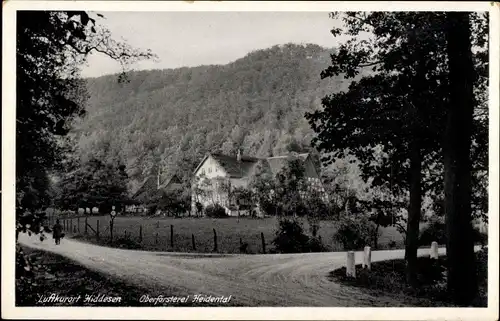 Ak Hiddesen Detmold im Teutoburger Wald, Heidental, Oberförsterei