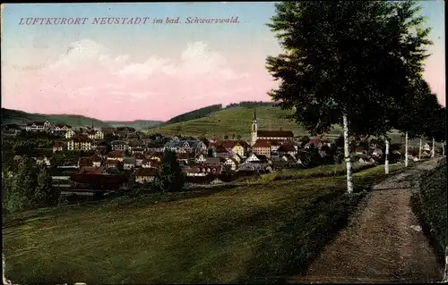 Ak Neustadt im Schwarzwald, Panorama