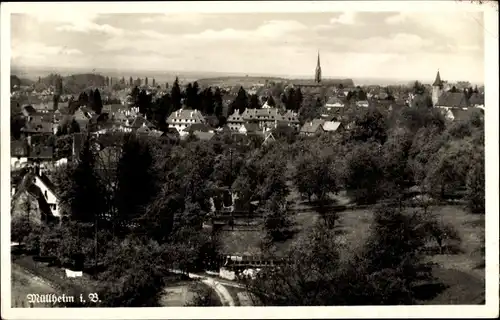 Ak Müllheim in Baden Markgräflerland, Panorama