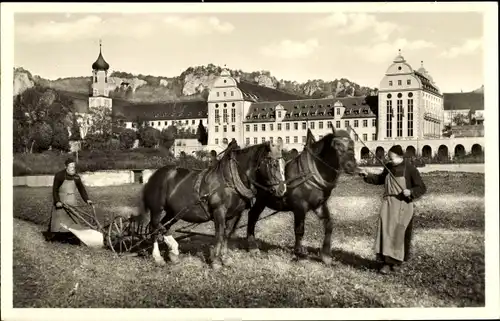 Ak Beuron an der Donau Württemberg, Erzabtei, Klosterbrüder bei der Feldarbeit, Pferdepflug