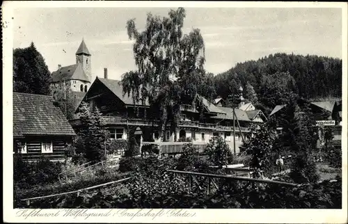 Ak Międzygórze Wölfelsgrund Schlesien, Wohnhäuser, Kirche