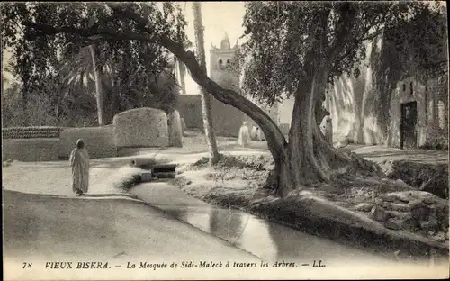 Ak Biskra Algerien, Moschee von Sidi Maleck durch die Bäume