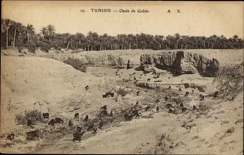 Ak Gabès Tunesien, Oasis, Ziegen an einem Flussbett