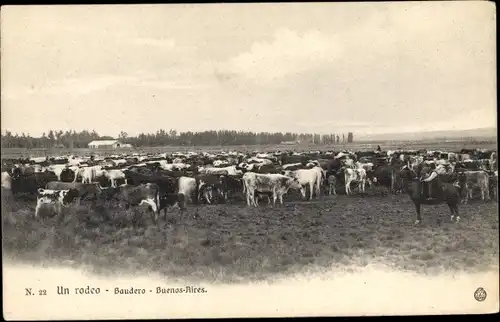 Ak Buenos Aires, Argentinien, Baudero, Ein Rodeo