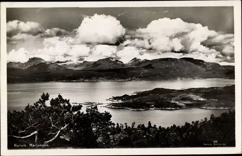 Ak Narvik Norwegen, Harjangen, Panorama