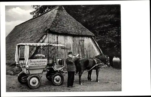 Ak Hanstedt in der Nordheide, Pony-Ausfahrten, Ponykutsche