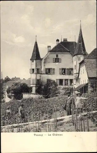 Ak Peseux Kanton Neuenburg Neuchâtel, Partie am Schloss, Weinberg