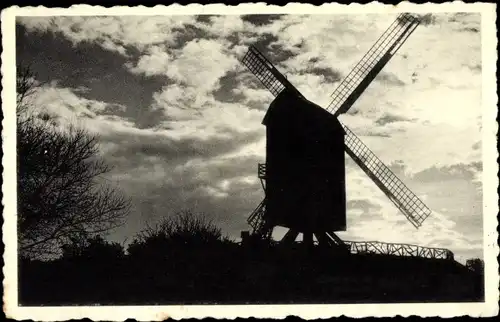 Ak  Koksijde Coxyde sur Mer Westflandern, Windmühle