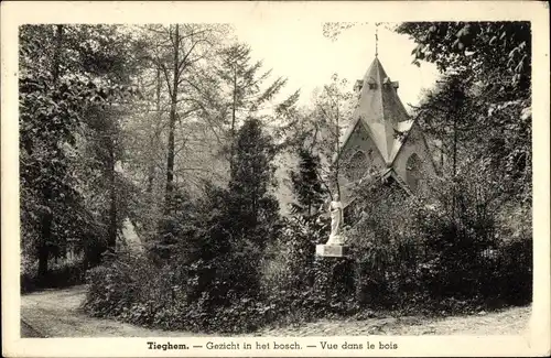 Ak Tiegem Tieghem Westflandern, Blick in den Wald