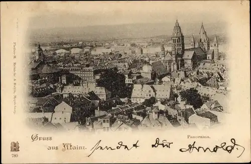 Ak Mainz am Rhein, Panorama