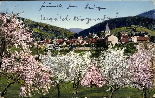Ak Seeheim Jugenheim an der Bergstraße, Frühling, Baumblüte