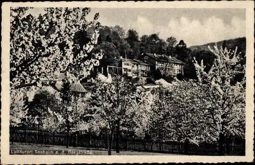 Ak Seeheim Jugenheim an der Bergstraße, Teilansicht, Frühling