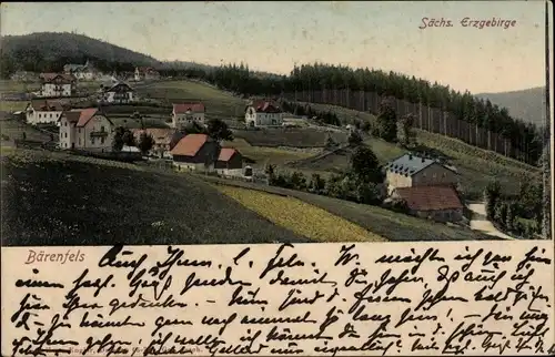 Ak Bärenfels Altenberg im Erzgebirge, Panorama