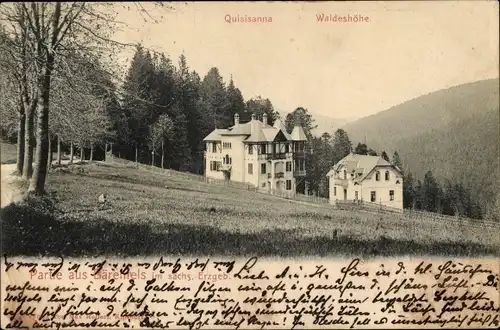 Ak Bärenfels Altenberg im Erzgebirge, Quisisanna, Waldeshöhe