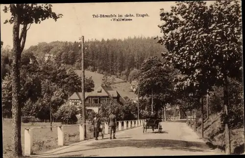 Ak Bärenfels Altenberg im Erzgebirge, Tal, Waldwiese