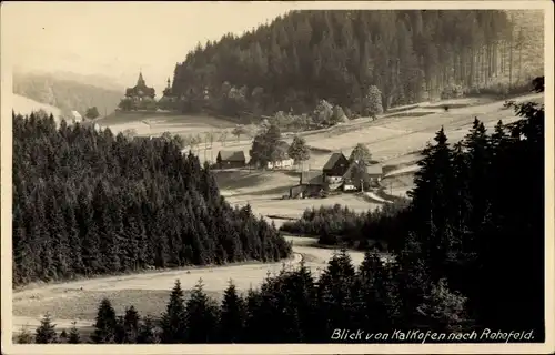 Ak Rehefeld Zaunhaus Altenberg im Erzgebirge, Blick vom Kalkofen