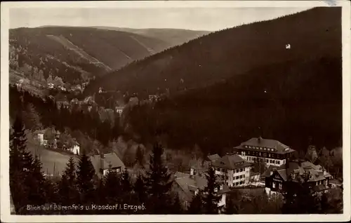 Ak Bärenfels Altenberg im Erzgebirge, Kipsdorf, Panorama