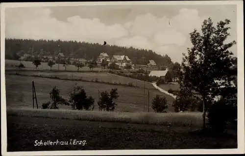 Ak Schellerhau Altenberg im Erzgebirge, Panorama