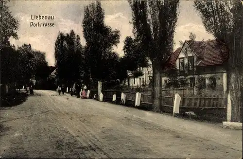 Ak Liebenau Geising Altenberg Erzgebirge, Dorfstraße