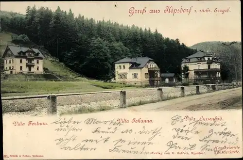 Ak Kipsdorf Altenberg im Erzgebirge, Villa Johanna, Villa Fortuna, Villa Luisenbad