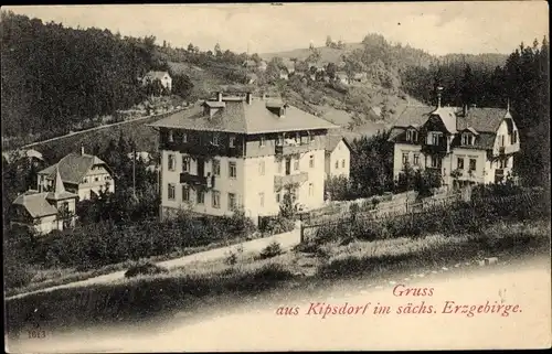 Ak Kipsdorf Altenberg im Erzgebirge, Blick auf Villen