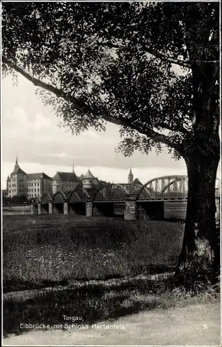 Ak Torgau an der Elbe, Schloss Hartenfels, Elbbrücke