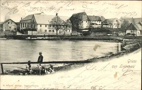 Ak Liebenau Geising Altenberg Erzgebirge, Wasserpartie