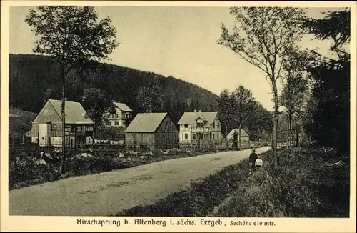 Ak Hirschsprung Altenberg sächs. Erzgeb., Straßenansicht, Fachwerkhäuser