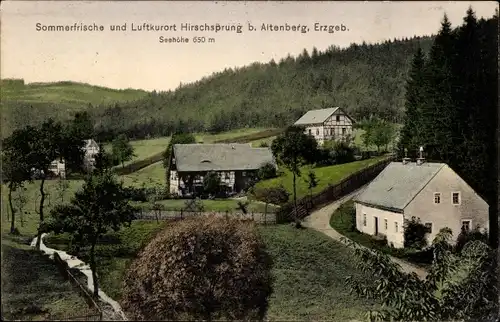 Ak Hirschsprung Altenberg Erzgebirge, Teilansicht