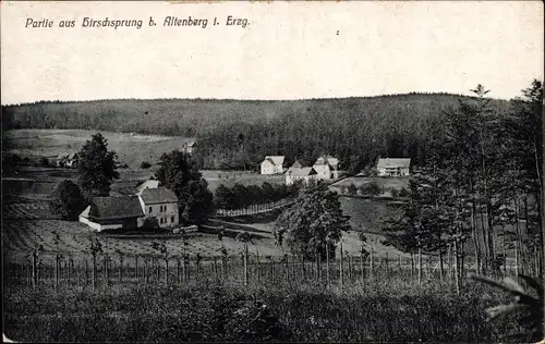 Ak Hirschsprung Altenberg im Erzgebirge, Ortsansicht