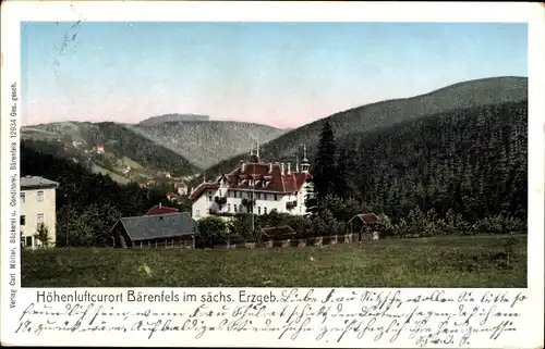 Ak Bärenfels Altenberg im Erzgebirge, Panorama