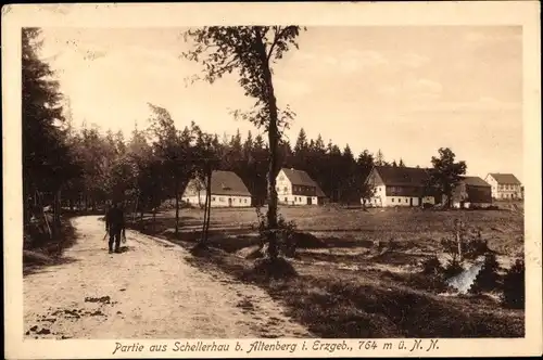 Ak Schellerhau Altenberg im Erzgebirge, Teilansicht