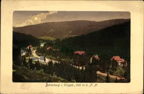 Ak Bärenburg Altenberg im Erzgebirge, Panorama